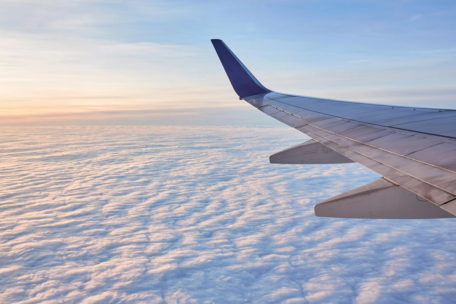 Live flight tracking